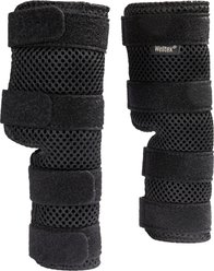 Back on Track Dixie Dog Hock Brace, X-Small