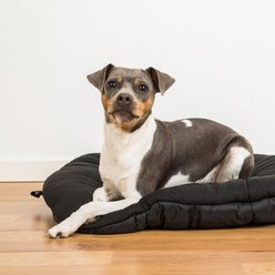 Back on Track Dog Bed, Black, Small