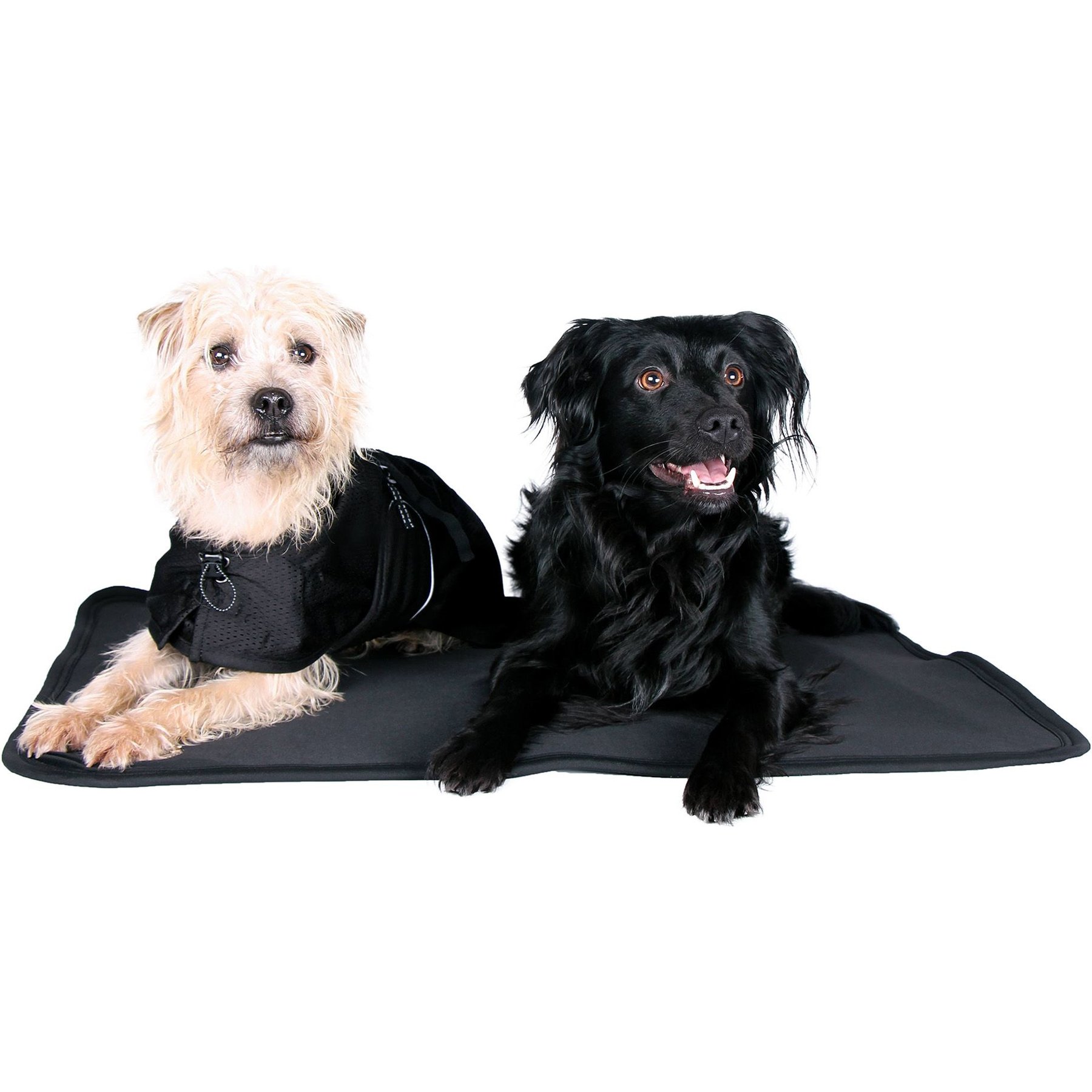 Back on Track Dog Bed Crate Liner, Black, Small