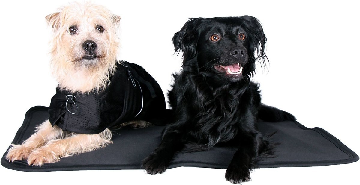 BACK ON TRACK Dog Bed Crate Liner, Black, Black, X-Large - Chewy.com