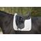 Show in main carousel: Back on Track Horse Saddle Pad Dressage No. 1, Full, White slide 2 of 2