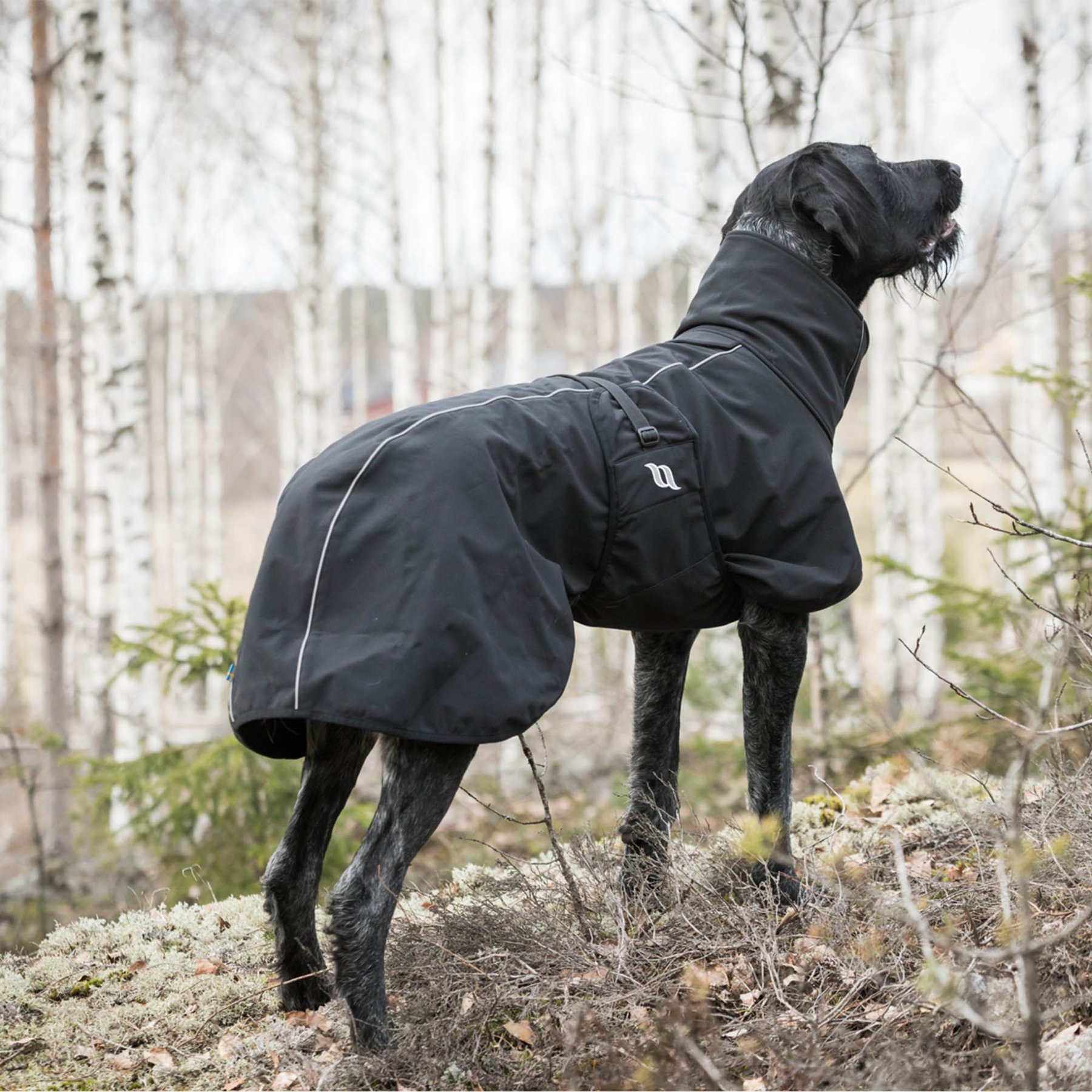 Back on Track Nella Dog Coat, Black, 16-in