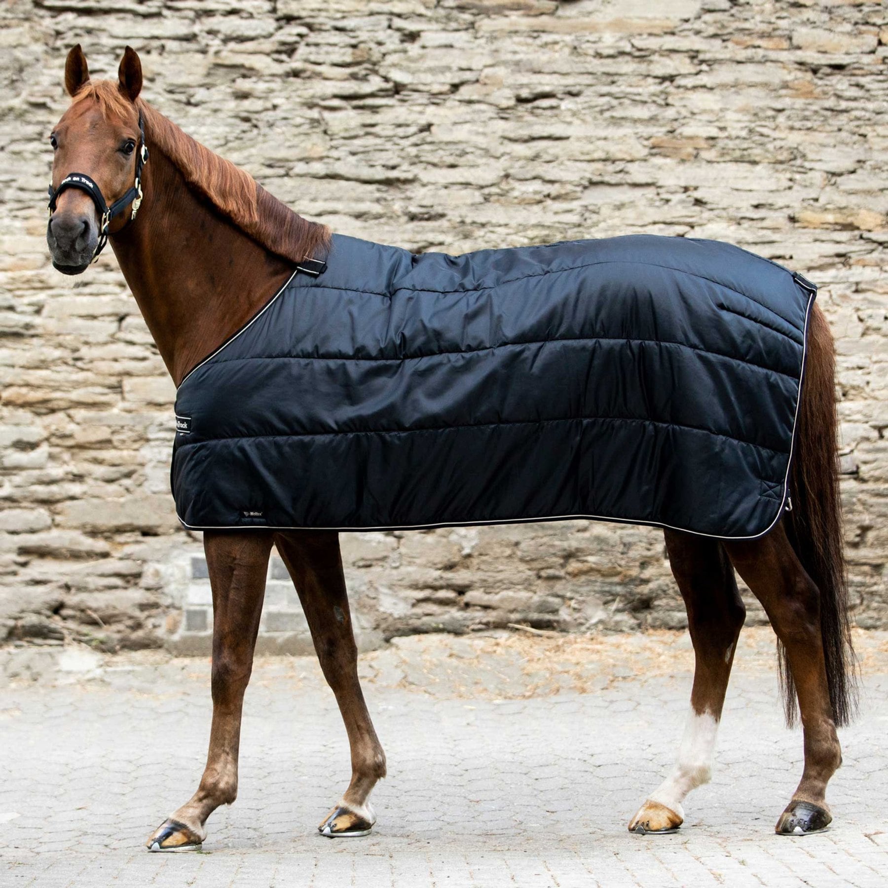 Back on Track Rhyolite 100g Insulated Liner Moisture-Wicking Horse, Black, 78-in