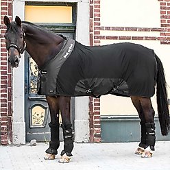Back on Track Royal Mesh Deluxe Therapeutic Horse Sheet, Black, 72-inch