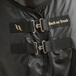 Back on Track Royal Mesh Deluxe Therapeutic Horse Sheet, Black, 75-inch