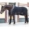 Show in main carousel: Back on Track Royal Mesh Sheet Deluxe Horse Stable Sheet, Black, 75-inch slide 5 of 9
