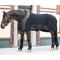 Show in main carousel: Back on Track Royal Mesh Sheet Deluxe Horse Stable Sheet, Black, 78-inch slide 7 of 8