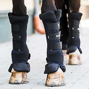 Back on Track Royal Quick Wraps Deluxe Horse Wraps, Black, Pair, Large: 16-inch