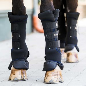 Back on Track Royal Quick Wraps Deluxe Horse Wraps, Black, Pair, Small: 12-inch