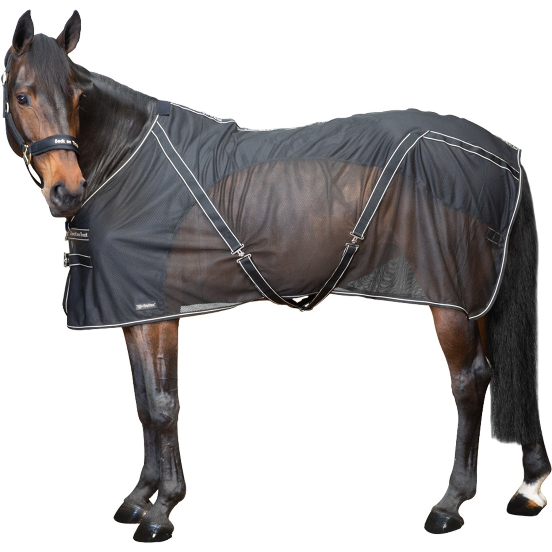 Back on Track Sienna Mesh Horse Cooler, Black, 72-in