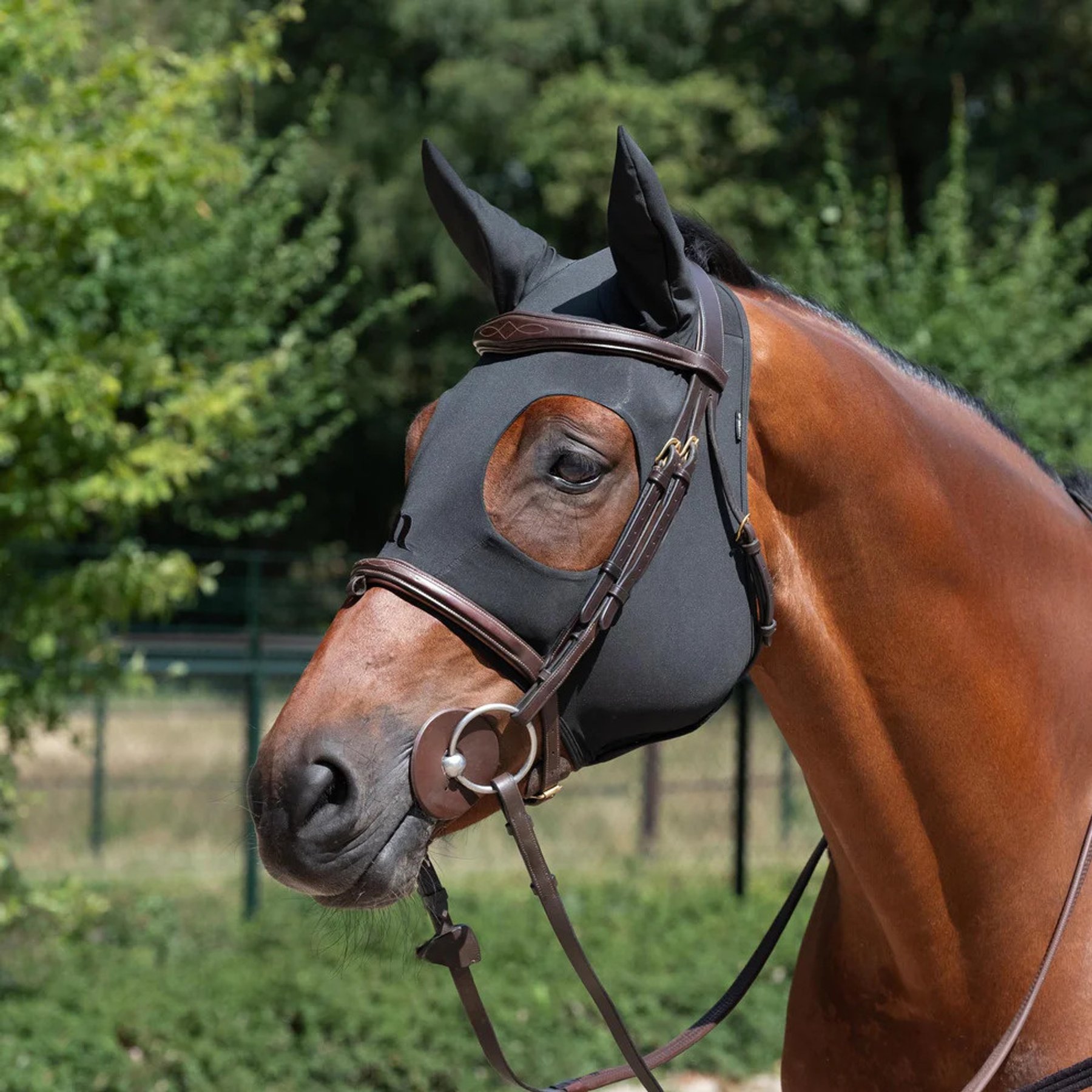 Back on Track Spirit Soothing Horse Hoods with Ears, Black, Cob
