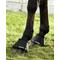 Show in main carousel: Back on Track Therapeutic Bell Horse Boots, Black, Medium slide 2 of 3