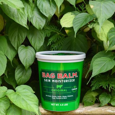 Show full view: Bag Balm Pet Original Agricultural Moisturizing Lotion, 4.5-lb pail slide 8 of 9