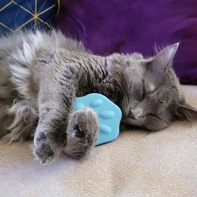 Show full view: Bailey Cat Co. The Bailey Brush Cat Brush, Meowy Blue Mist slide 3 of 10