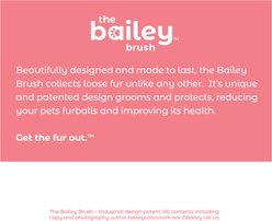Bailey Cat Co. The Bailey Brush Cat Brush, Tickled Ear Pink slide 2 of 7