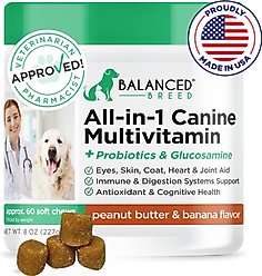 Balanced Breed All-in-1 Canine Multivitamin Peanut Butter & Banana Flavored Soft Chew Multivitamin for Dogs, 60 count
