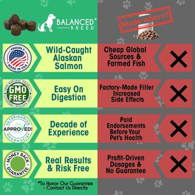 Show full view: Balanced Breed All-in-1 Canine Multivitamin Peanut Butter & Banana Flavored Soft Chew Multivitamin for Dogs, 60 count slide 6 of 11