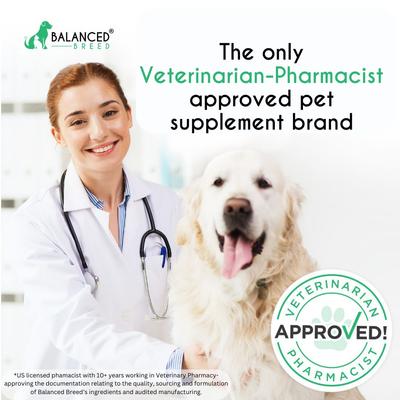 Show full view: Balanced Breed All-in-1 Canine Multivitamin Peanut Butter & Banana Flavored Soft Chew Multivitamin for Dogs, 60 count slide 4 of 11