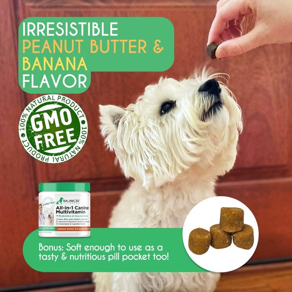 Balanced Breed All-in-1 Canine Multivitamin Peanut Butter & Banana Flavored Soft Chew Multivitamin for Dogs, 60 count