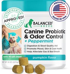 Balanced Breed Canine Probiotic & Odor Control Natural Pumpkin Flavored Soft Chew Digestive Aid Supplement for Dogs, 60 count