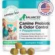 Show in main carousel: Balanced Breed Canine Probiotic & Odor Control Natural Pumpkin Flavored Soft Chew Digestive Aid Supplement for Dogs, 60 count slide 1 of 10
