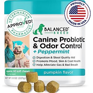Balanced Breed Canine Probiotic & Odor Control Natural Pumpkin Flavored Soft Chew Digestive Aid Supplement for Dogs, 60 count