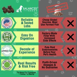 Balanced Breed Canine Probiotic & Odor Control Natural Pumpkin Flavored Soft Chew Digestive Aid Supplement for Dogs, 60 count slide 2 of 8