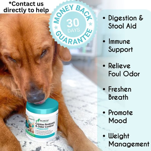 Show full view: Balanced Breed Canine Probiotic & Odor Control Natural Pumpkin Flavored Soft Chew Digestive Aid Supplement for Dogs, 60 count slide 2 of 10