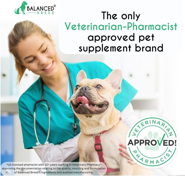Show full view: Balanced Breed Canine Probiotic & Odor Control Natural Pumpkin Flavored Soft Chew Digestive Aid Supplement for Dogs, 60 count slide 3 of 10