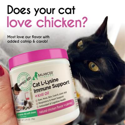 Show full view: Balanced Breed Cat L-Lysine Immune Support Natural Chicken Flavored Soft Chew Immune Supplement for Cats, 60 count slide 7 of 12