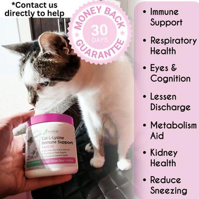 Show full view: Balanced Breed Cat L-Lysine Immune Support Natural Chicken Flavored Soft Chew Immune Supplement for Cats, 60 count slide 3 of 12