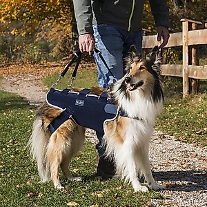 Balto Body Lift Dog Body Harness with Handles, X-Small