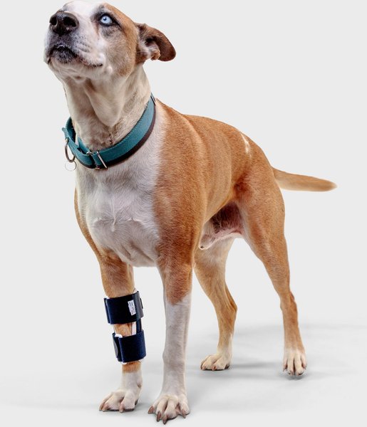 Balto Bone Dog Fracture Brace