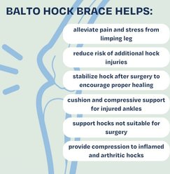 Balto Dog Hock Brace, Medium slide 2 of 6