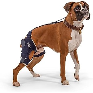 Agon Front Leg Brace & Wound Protection Paw Compression & Wrap for Dogs