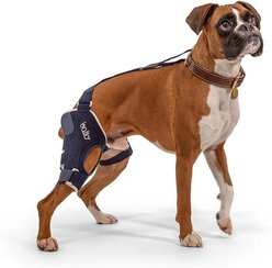 Balto Jump Dog Knee Brace, Small- Right