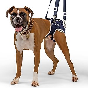 Agon Front Leg Brace & Wound Protection Paw Compression & Wrap for Dogs