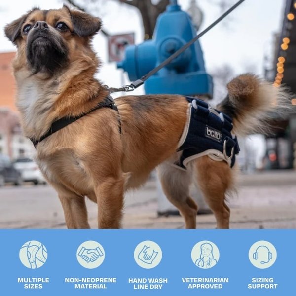 Balto Life Hip Dysplasia Dog Brace