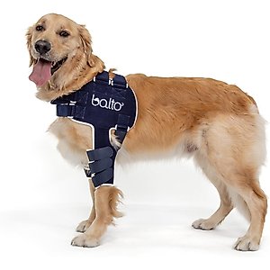 Agon Front Leg Brace & Wound Protection Paw Compression & Wrap for Dogs