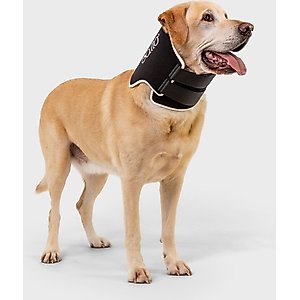 Agon Front Leg Brace & Wound Protection Paw Compression & Wrap for Dogs