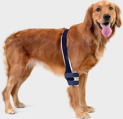 Balto Soft Dog Elbow Brace, X-Large- Right