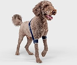 Balto Soft Plus Dog Double Elbow Brace, Large