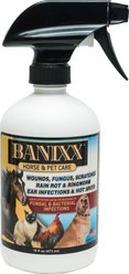 Banixx Dog, Cat, Poultry & Horse Wound Care Spray, 16-fl oz bottle
