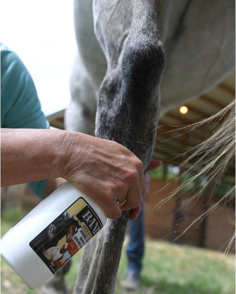 Show full view: Banixx Dog, Cat, Poultry & Horse Wound Care Spray, 16-fl oz bottle slide 3 of 6