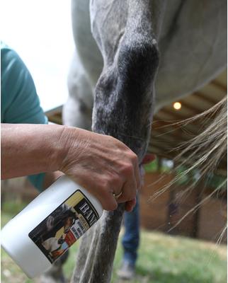 Show full view: Banixx Dog, Cat, Poultry & Horse Wound Care Spray, 16-fl oz bottle slide 4 of 7