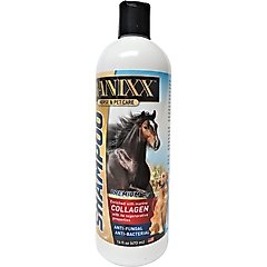 Banixx Medicated Soap-Free Horse Shampoo, 16-fl oz bottle