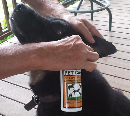 Show full view: Banixx Pet Care+ Wound Care & Anti-Itch Spray for Dogs, Cats & Small Pets, 8-fl oz bottle slide 5 of 7