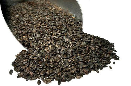 Show full view: Bar ALE Non-GMO Black Oil Sunflower Seed Wild Bird Food, 20-lb bag slide 2 of 5