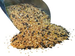 Bar ALE Pacific Delight Wild Bird Food, 20-lb bag slide 2 of 4