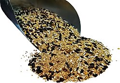 Bar ALE Premium Cockatiel Blend with Sunflower Bird Feed, 10-lb bag slide 2 of 3